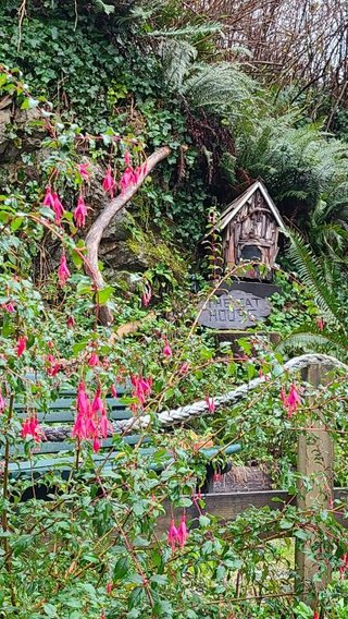 Cat house area on boardwalk